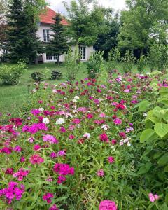 um campo de flores em frente a uma casa em Stasiówka Gospodarstwo Agroturystyczne em Gogołów