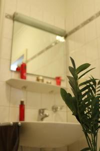 uma casa de banho com um lavatório, um espelho e uma planta em Am Brandungsbad App 1 1 inkl WLAN em Grömitz