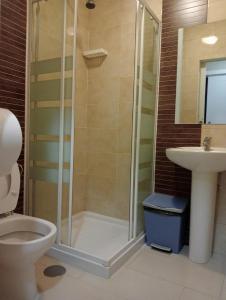 a bathroom with a shower and a toilet and a sink at Albergue de Peregrinos Villa de Luarca in Luarca