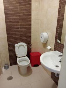 La salle de bains est pourvue de toilettes et d'un lavabo. dans l'établissement Albergue de Peregrinos Villa de Luarca, à Luarca