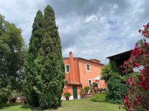 Zahrada ubytování Agriturismo Podere Marchiano