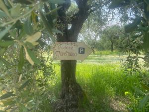 Zahrada ubytování Agriturismo Podere Marchiano