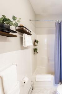 baño con paredes blancas y cortina de ducha azul en Spacious Stay near Yale in Downtown New Haven, en New Haven