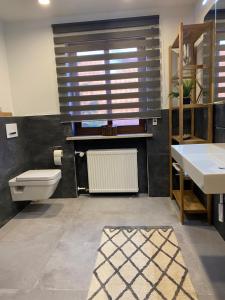a bathroom with a toilet and a sink and a window at Idyllische Ferienwohnungen in Mossendorf Blick zur Naab in Burglengenfeld +30 photos