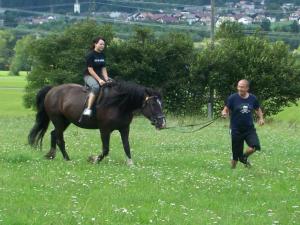 Altri animali domestici presso l'agriturismo o nei dintorni