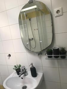La salle de bains est pourvue d'un lavabo, d'un miroir et de plantes. dans l'établissement Lovas Udvarház Ezüst Zabla Apartman Piliscsaba, à Piliscsaba