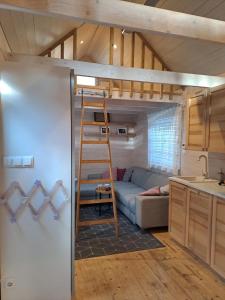 a loft bed in a kitchen with a couch and a ladder at Bursztynowe Domki w Helu in Hel