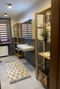 a bathroom with a sink and a mirror at Idyllische Ferienwohnungen in Mossendorf Blick zur Naab in Burglengenfeld