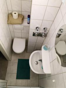 La petite salle de bains est pourvue d'un lavabo et de toilettes. dans l'établissement Zentrum, helle und ruhige möblierte DG-Wohnung zwischen Steintor und Uni, à Hanovre