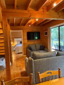 a living room with a couch and a bed in a cabin at Russell Falls Holiday Cottages in National Park