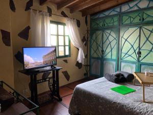 um quarto com uma cama e uma televisão numa mesa em CASA RURAL CANARIA HOMBRE DE PALO em Santa Cruz de Tenerife