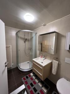 een badkamer met een douche, een wastafel en een toilet bij Lana in Freudenstadt
