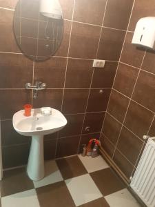 a bathroom with a sink and a mirror at Prostrani apartman Cacak in Čačak