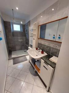 een badkamer met een wastafel en een douche bij Le Turenne, centre-ville Belfort in Belfort