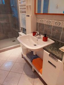 een badkamer met een wastafel en een douche bij Le Turenne, centre-ville Belfort in Belfort