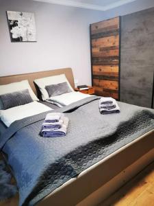 - une chambre avec un grand lit et des serviettes dans l'établissement Grandpa's House in Hateg, à Haţeg