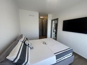 a bedroom with a bed and a flat screen tv at RED SKY APARTMENT - PORTA DI ROMA in Rome