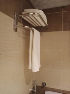 a bathroom with a shower with a white towel at Queen Hotel Fayoum in Fayoum