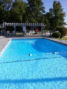 a large blue swimming pool with a pergola at Carolina Motel in Franklin