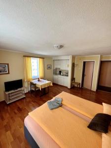 TV a/nebo společenská místnost v ubytování Hotel Stille