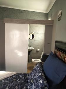 1 dormitorio con cama, aseo y lavamanos en Good and Proper Guest Lodge, en Vereeniging
