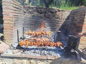 阿梅利亞的住宿－Agriturismo Marinella，烤架上正在烹饪的一大堆食物