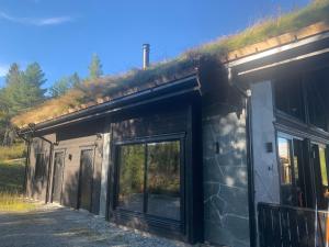 唐達倫的住宿－Skarvruetstugan Funäsdalen，顶部有草屋顶的建筑