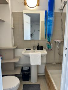 Koupelna v ubytování Grand Studio à 5mns de la Plage des Salins