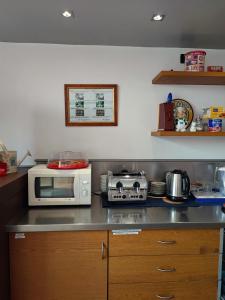 una cucina con forno a microonde e tostapane su un bancone di B&B Colorado a Bergamo
