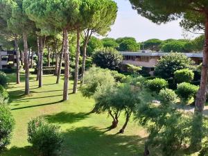 a park with trees and grass and a building at ISA-Holiday Homes in Marina di Bibbona from 400 to 900 m from the beach, apartments 6 beds with private outdoor area in Marina di Bibbona