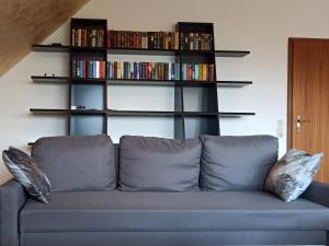 a blue couch in a living room with shelves of books at Wohnung mit Spielplatz, Kaninchen und Whirlpool in Grafenhausen
