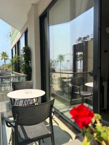 伏罗拉Dot Tradition的相册照片