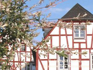 une maison rouge et blanche avec un arbre devant elle dans l'établissement Ferienwohnungen Ferienland Cochem, à Bruttig-Fankel