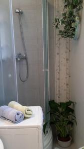 Un baño con ducha y WC y una planta. en Romantic Studio Old Dinka - with Garden, en Dubrovnik