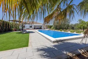 - une piscine à côté d'une cour avec un palmier dans l'établissement Casa Rural Manuel, à La Puebla de Cazalla