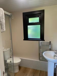 a bathroom with a toilet and a sink and a window at Craigengillan Mini Lodge in Dalmellington
