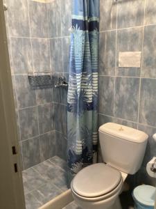 a bathroom with a toilet and a shower curtain at Corali Luxury Beach Apartment in Poros