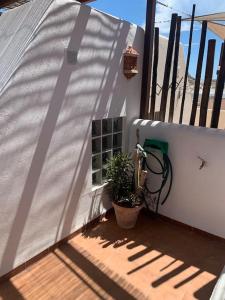 Una pared blanca con una planta en maceta en un patio. en Casa Mellis Aguamarga, en Agua Amarga 31 fotos más