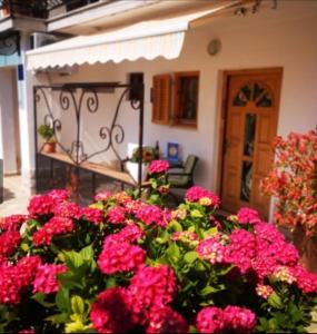 a bunch of pink flowers in front of a house at Apartmani Rita Studio in Novigrad Istria