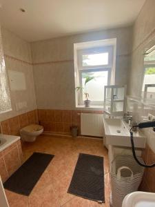 een badkamer met een wastafel, een toilet en een raam bij Schöne 3-Zimmer Ferienwohnung im Süden von Leipzig EG in Leipzig