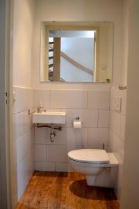 La salle de bains est pourvue de toilettes, d'un lavabo et d'un miroir. dans l'établissement De Moolt Vakantiewoningen, à Eckelrade