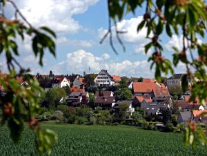 une ville avec des maisons et un champ d'herbe dans l'établissement Restaurant und Hotel Alter Brunnen, 