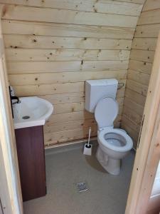 a wooden bathroom with a toilet and a sink at Cristel Căsuța Fără Gânduri in Mesentea