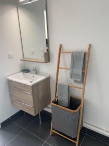 ein Badezimmer mit einem Waschbecken und einem Handtuchhalter in der Unterkunft Appartement neuf T2 in Saint-Pierre-Quiberon