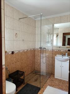 a bathroom with a shower and a toilet and a sink at Mala Chatka in Wetlina