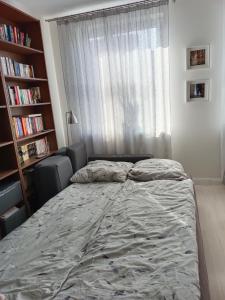 Cama en habitación con ventana y estante para libros en Blue Sky Apartment, en Poznan