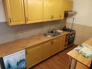 a kitchen with yellow cabinets and a sink at Przystanek Srebrna Góra in Srebrna Góra
