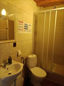 La salle de bains est pourvue de toilettes, d'une douche et d'un lavabo. dans l'établissement Mala Chatka, à Wetlina