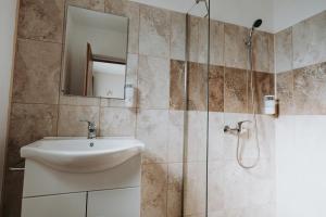 a bathroom with a sink and a shower at CASA ALMI in Polovragi