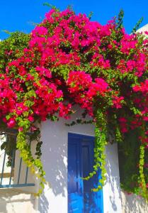 a window with pink flowers and a blue door at CORALLI in Spetses